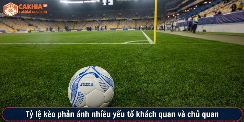 Tỷ lệ kèo phản ánh nhiều yếu tố khách quan và chủ quan