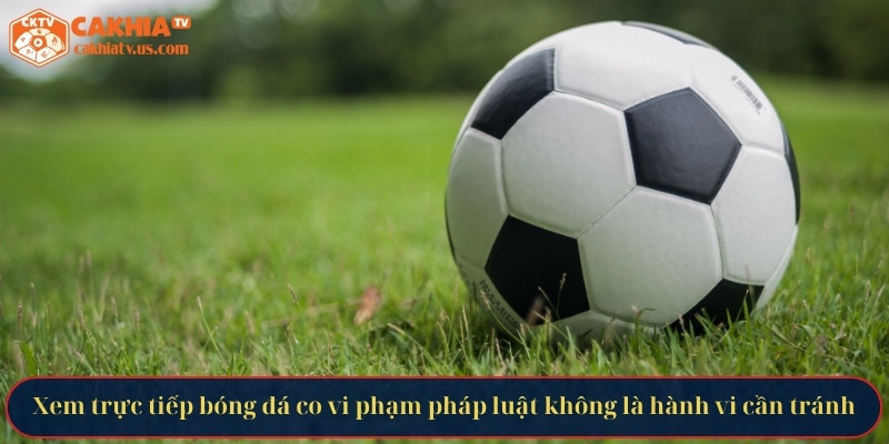 Hướng dẫn các hành vi cần tránh khi xem trực tiếp bóng đá